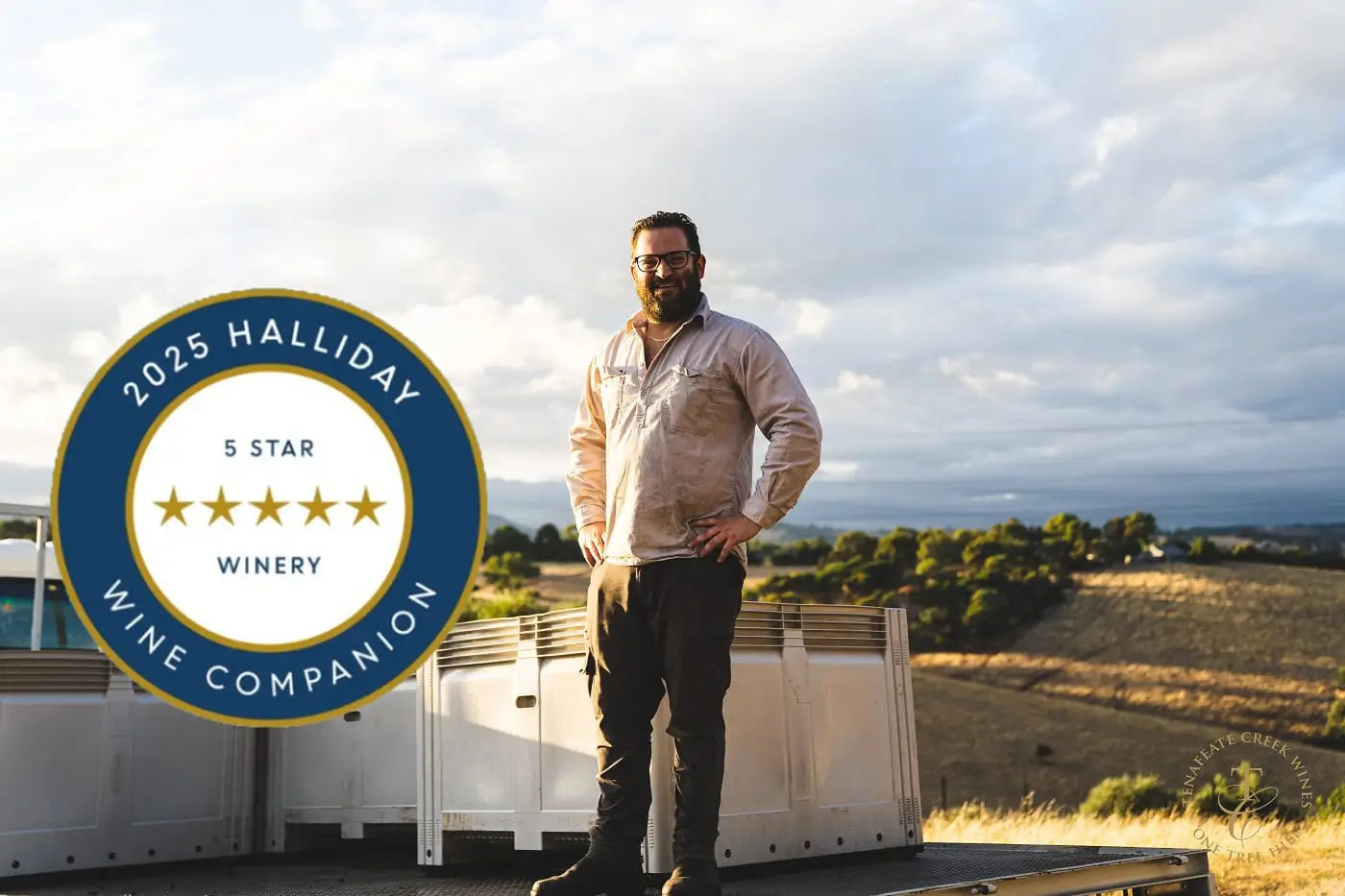 5 Star Winery
