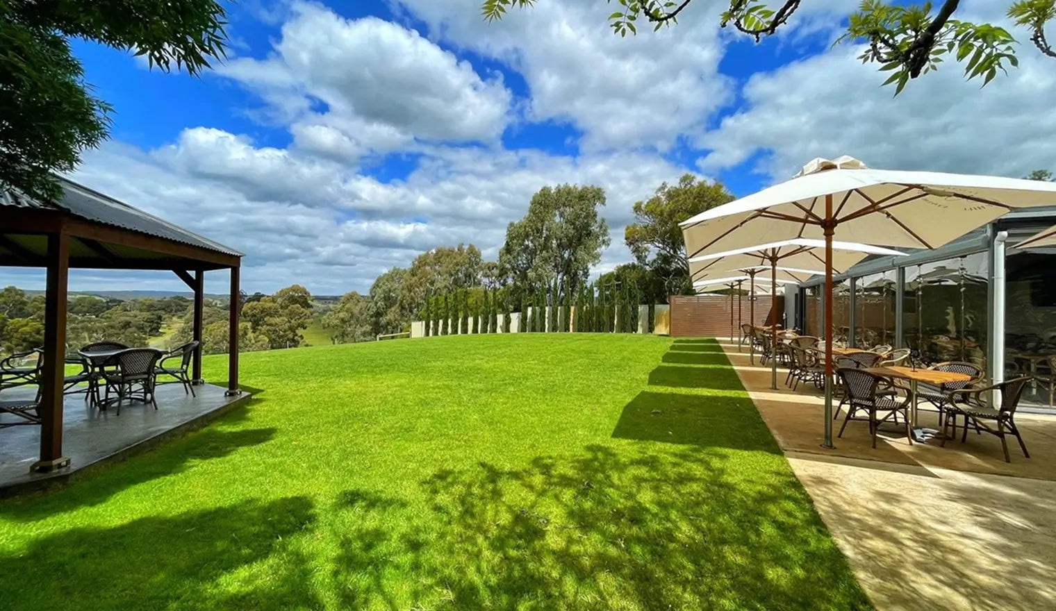 Front Lawn Area